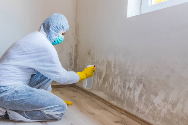 Crawl Space Mold Remediation treatment of floor joists in Lodi